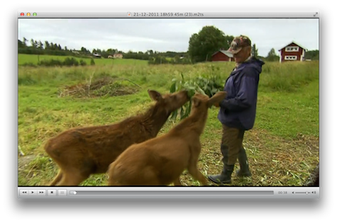 VLC Media Player Main Window